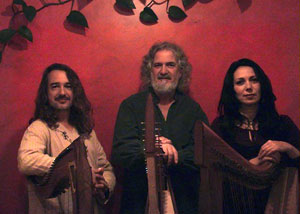 New World Gypsy String Band